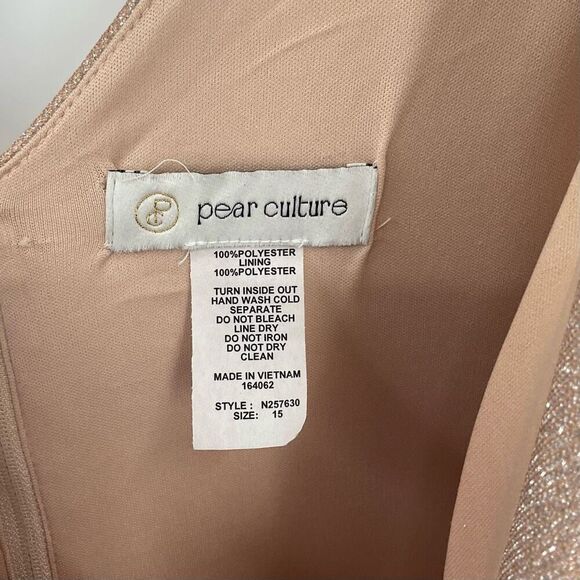 Pear Culture Sleeveless Fit & Flare Metallic Tiered Mini Dress Champagne Size 15 - Picture 3 of 5